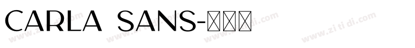 CARLA sANS字体转换
